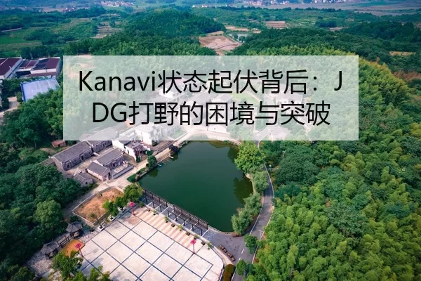 Kanavi状态起伏背后：JDG打野的困境与突破